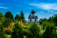 Colchester Reef Light Among Wildflowers and Evergreens